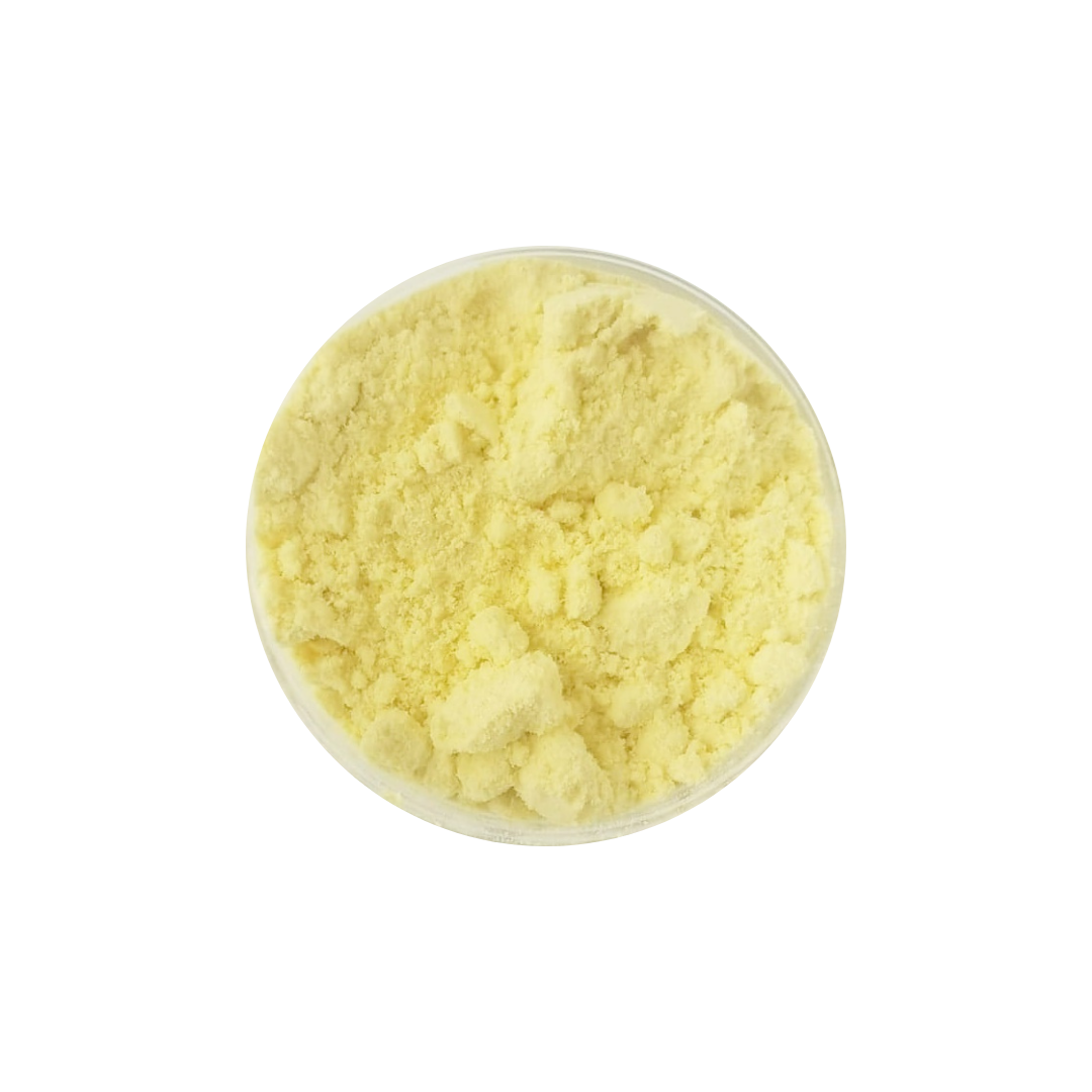 Corn Powder (Organic)